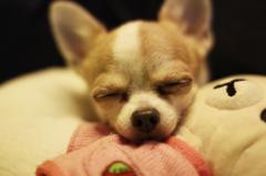 眠い！