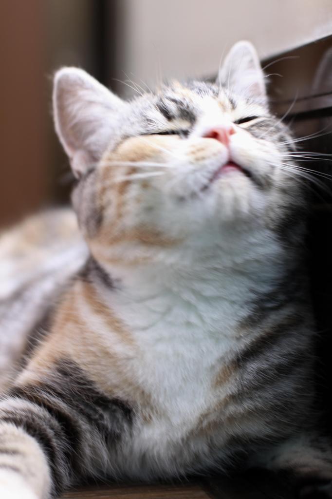 なんだかいい香り！