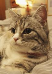 ベットでのんびり◎
