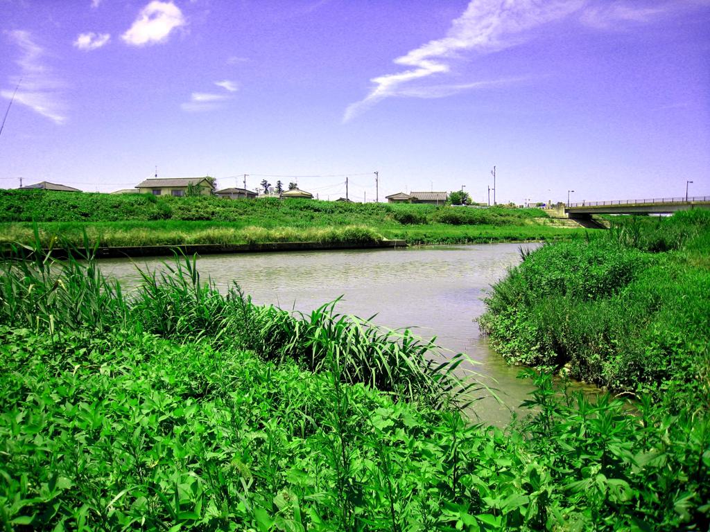 初夏の風