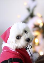 little santa