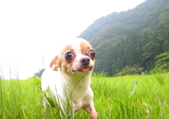 プチママとお出かけ