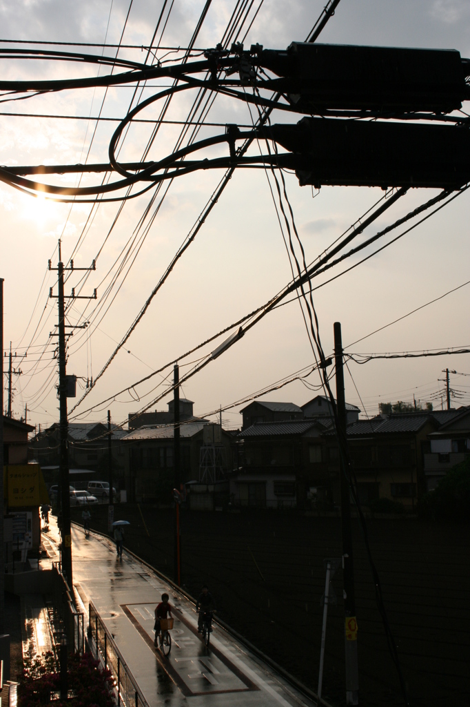 雨上がりの道