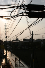 雨上がりの道