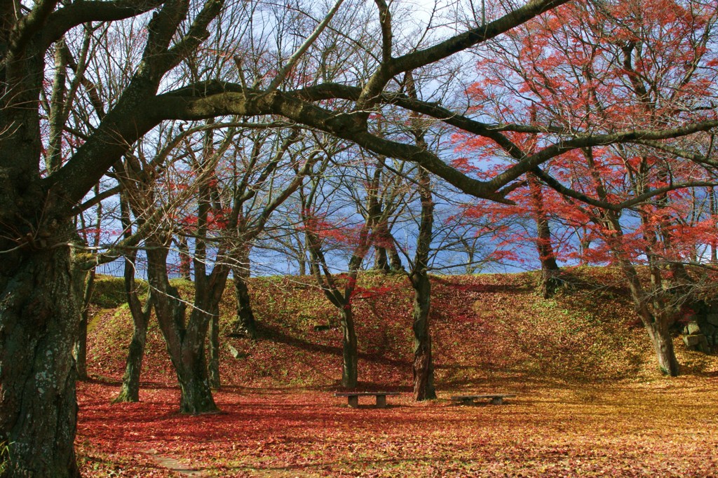 紅葉の広場