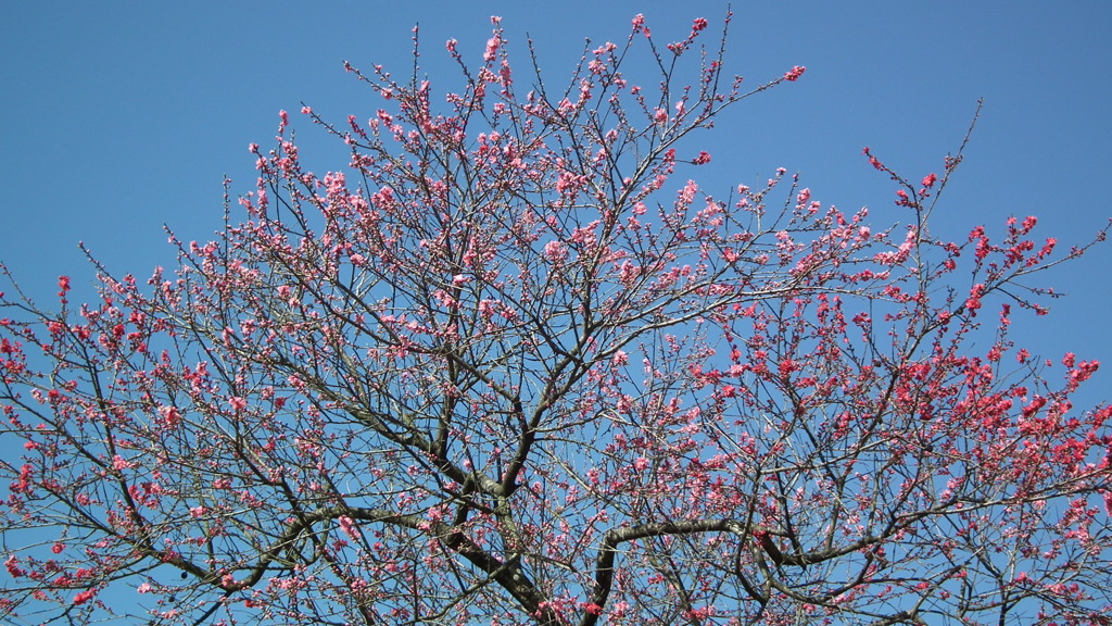 2011/04