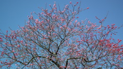 2011/04