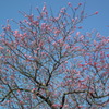 2011/04