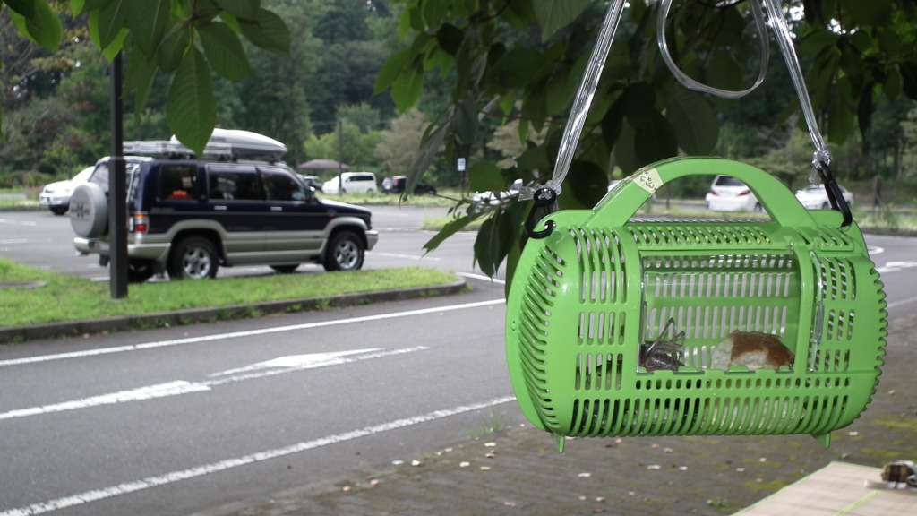 夏休み-別れたあと