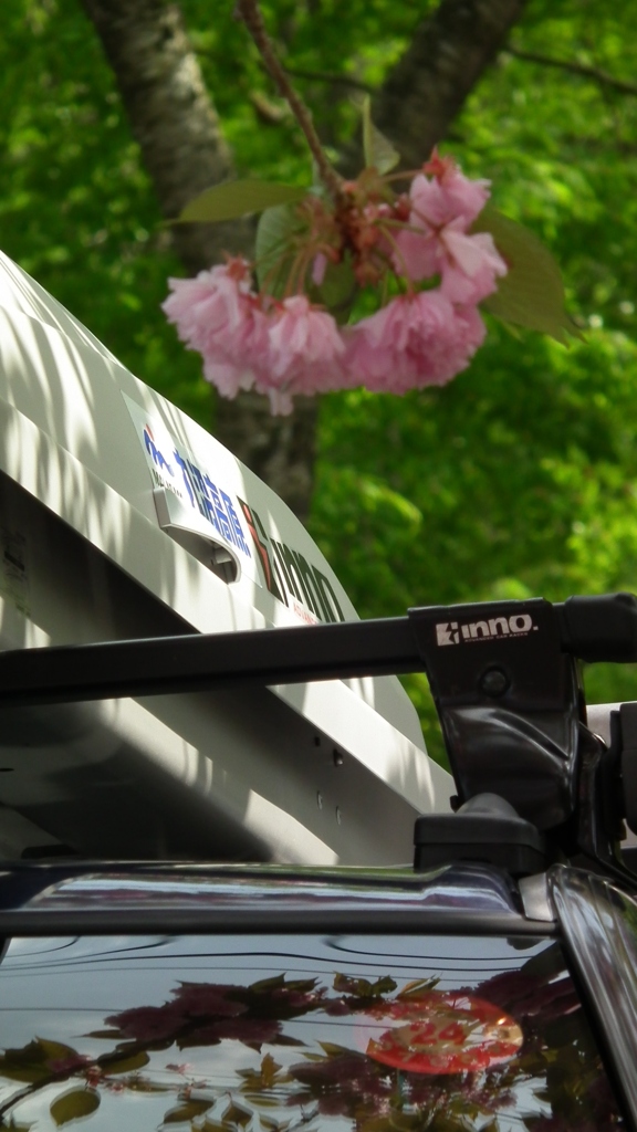 2011/05　kitayamakouen