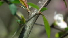 2011/04