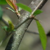 2011/04
