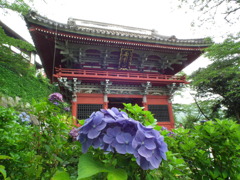 '10.07-amabiki-kannon