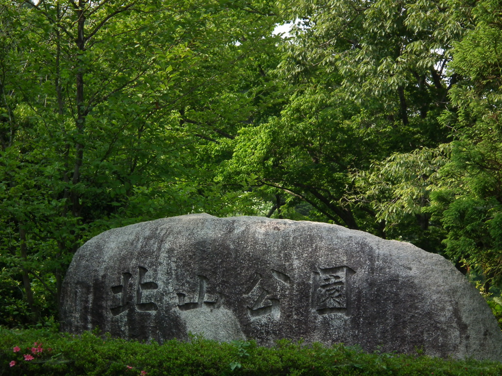 '10.06-kitayama-kouen