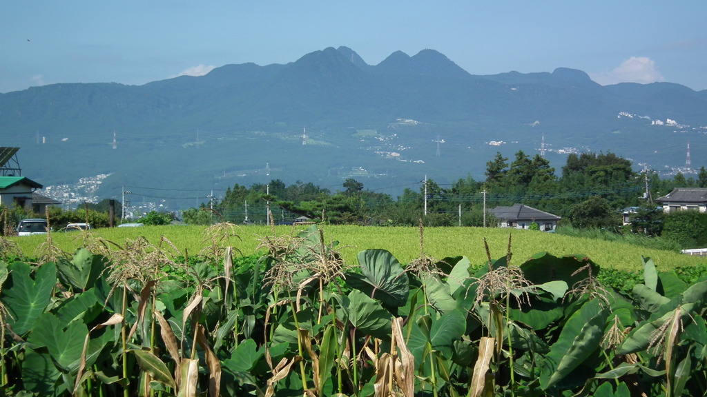 夏休み-別れたあと