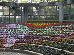 ’10.05-mito-syokubutuen