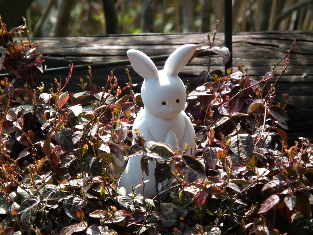 '10.05-Flower-hill-hanazono