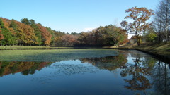 DSCF7175