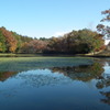 DSCF7175