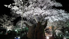 DSCF0642