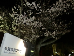 村岡さん高瀬さん送別会