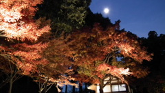 DSCF3966