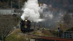 DSCF4599