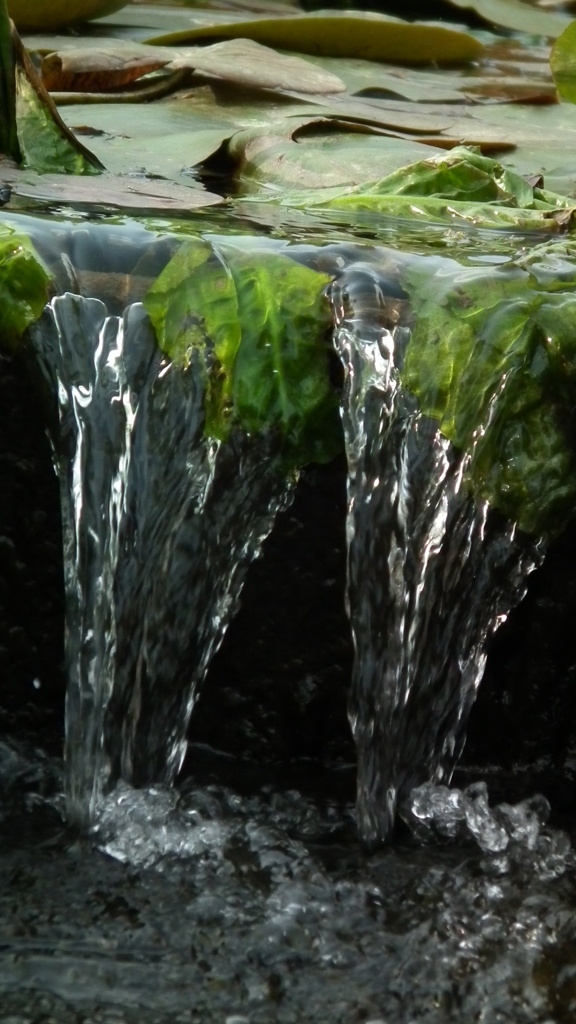 2011/05　Kitayamakouen