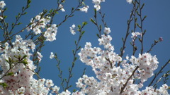 2011/04