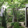 DSCF0869
