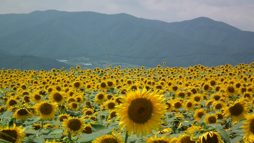 夏休み-別れたあと