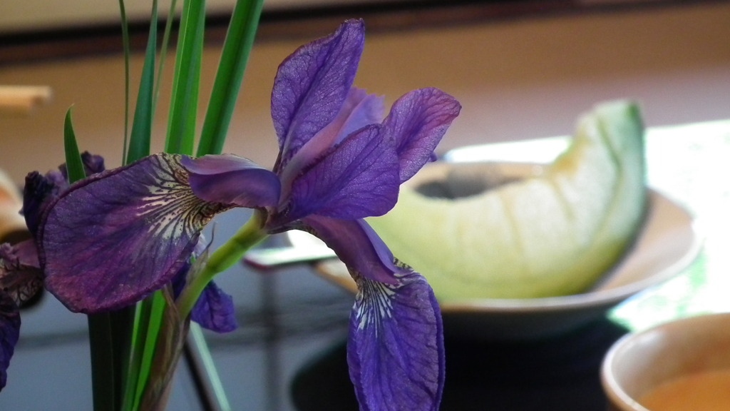 2011/05　kakurega
