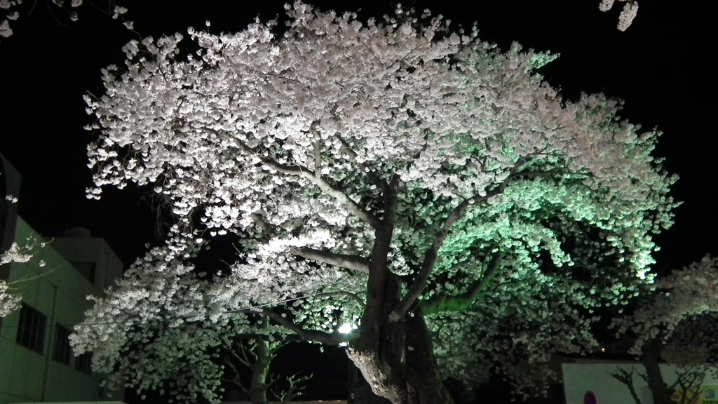 DSCF0638