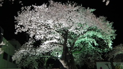 DSCF0638