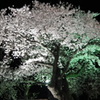 DSCF0638