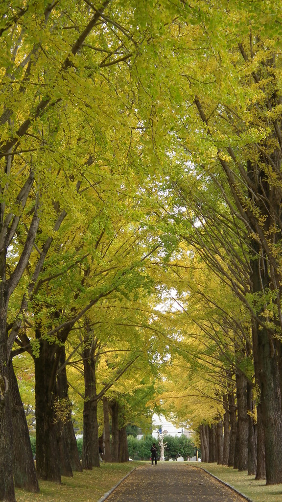 DSCF2603