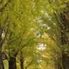 DSCF2603