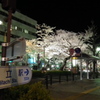 01DSCF0761