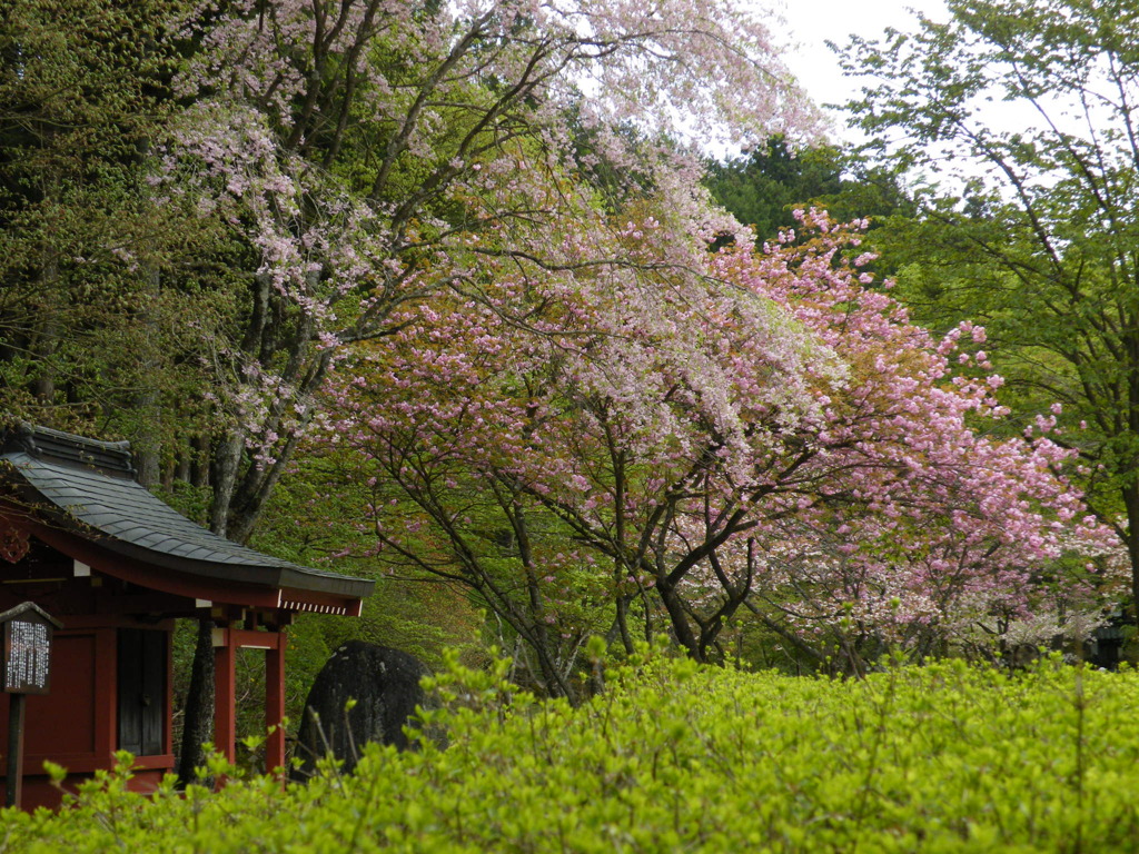'10.05-nikkou