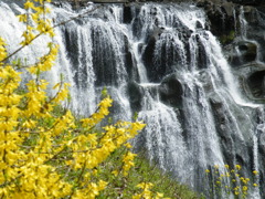 ’10.04-ryumon no taki