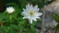 2011/04