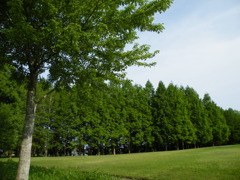 ’10.05-mito-syokubutuen