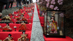 2011/02/27　百段階段お雛さま祭り