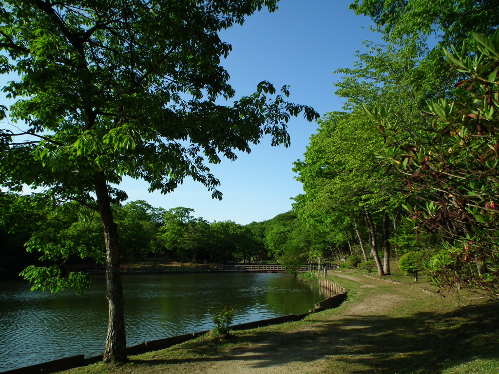 '10.05-Kitayama-kouen