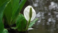 2011/05　Kitayamakouen
