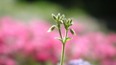 2011/04