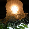 DSCF0800