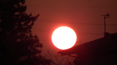 花木センターの夕日