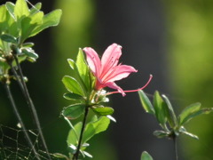 '10.05-Kitayama-kouen