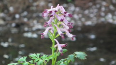 2011/04